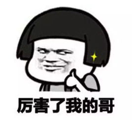 观禾讲解你离艺术家可能就差不要脸三个字书法