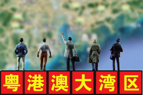 规划纲要公布粤港澳大湾区蕴含哪些投资机遇
