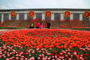 国庆期间,贵阳周边这些活动优惠还在继续,别错过哦