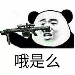 深夜传来梁同学辞职消息原因竟是本钱不足