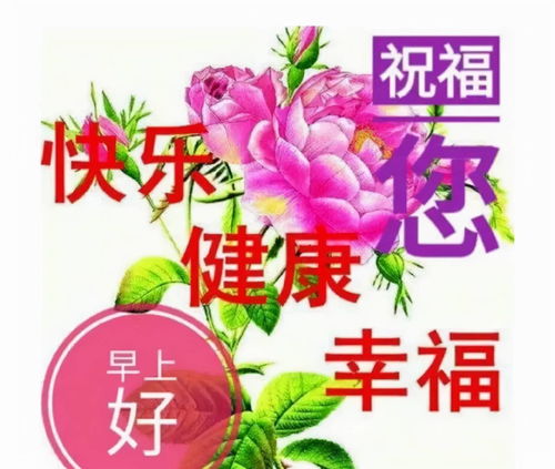 我的问候依然陪着你,愿你开心每一天,早安