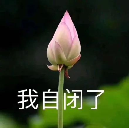 哪一刻,突然觉得自己老了