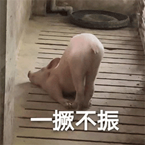 表情包系列,我准备要去喝西北风了,不进来看看