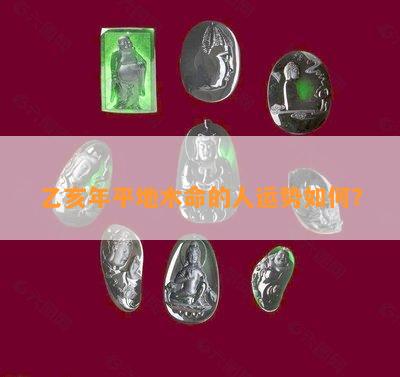 乙亥平地木命适合戴玉镯吗