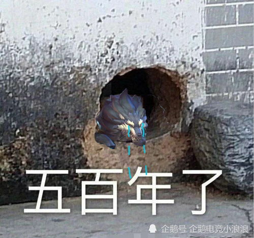 5周年了,成吉思汗还没混到一个皮肤,你最希望谁出新皮肤