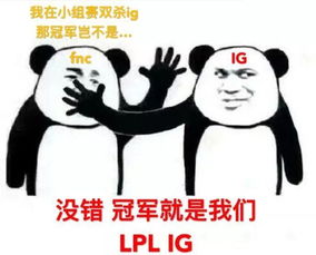 ig夺冠表情包合集,王思聪吃热狗照片亮了