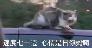 如何评价林彦俊