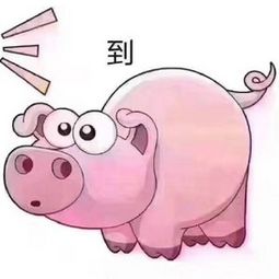 在干嘛吃屎猪套路表情包无水印版微信吃屎猪套路表情包完整版腾...