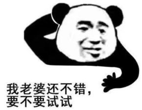 聊天必备的搞笑表情包牵我的手,不然哭给你看