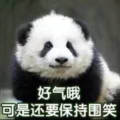 表情搞笑大熊猫