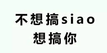 不想上班,只想上你