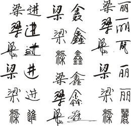 设计签名梁进梁鑫梁丽