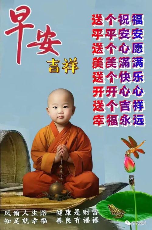 晚上好图片大全,晚上问候,晚上好祝福,晚上好表情包图片,夜夜好梦