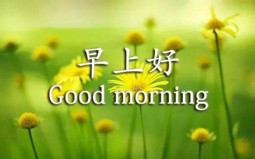 特别暖心很漂亮的早上好祝福语动态图,漂亮鲜花清晨问候语动态表情图片温馨带字