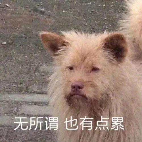 那些只有高中生才懂的梗,你看懂几个