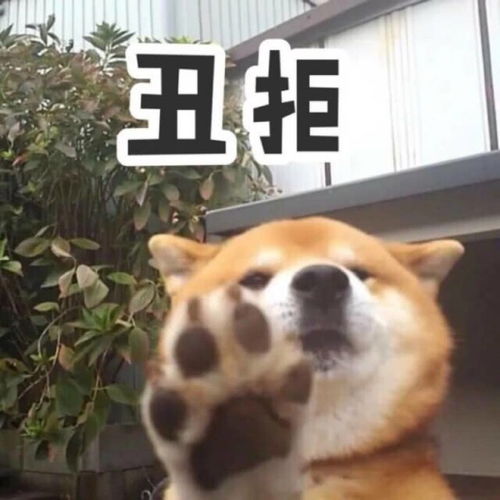 幽默段子笑话下午逛完超市结账时,一不小心掉落一枚硬币