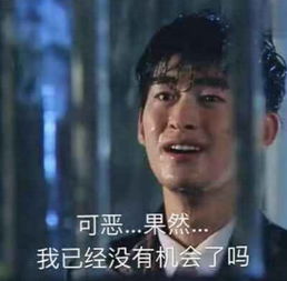 无水印全能聊天表情包可恶,果然已经没有机会了吗