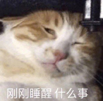 热门沙雕表情包一夜没睡,摘下伪装,是心动的感觉