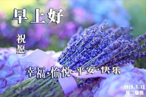 2019最新版群发早晨好问候祝福动态表情图片微信早上好问候语动态图片大全