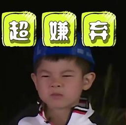 在深圳,没做过这几件事,别说你在这个城市呆过......