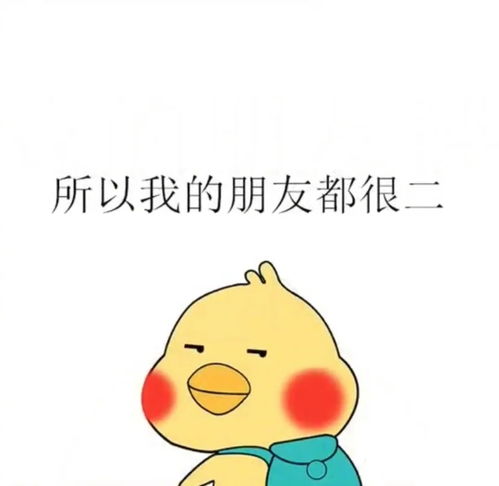 有没有超级适合发朋友圈的搞笑文案语录