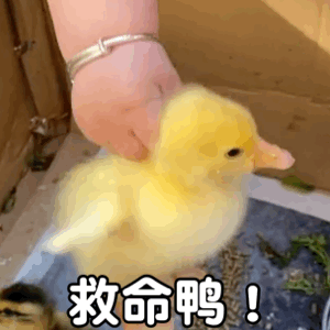沙雕斗图表情包不要玩了,陪陪我吧