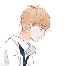 一般动漫男生头像有哪几种的,求这一种的