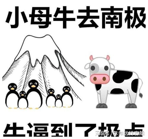 那些聊天的时候可以用上的沙雕歇后语