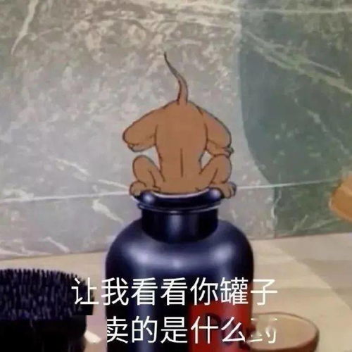 表情人生不言弃