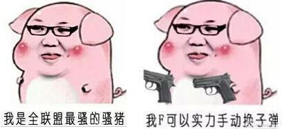 你这个骚猪表情包