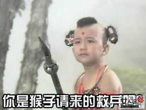 猴年来啦西游记搞笑表情包4搞笑女人说图集