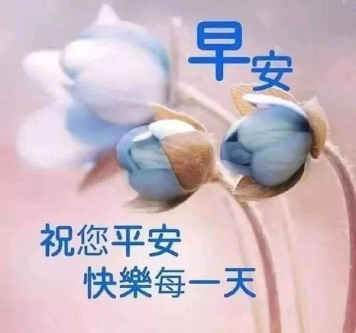 阳光祝福早上好暖心问候表情图片,温馨早上好温暖问候祝福语表情图片大全