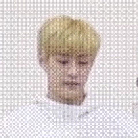 壶摇打哈欠谁更搞笑来投票