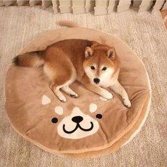 柴犬宠物界的戏精比二哈演技还要高主人每天看它演戏好累哦
