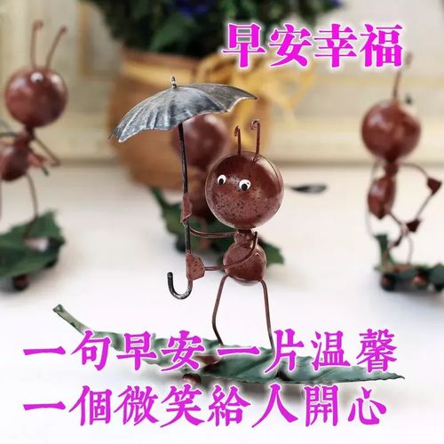 早晨问候好动态表情,微信最美早上好动态祝福表情