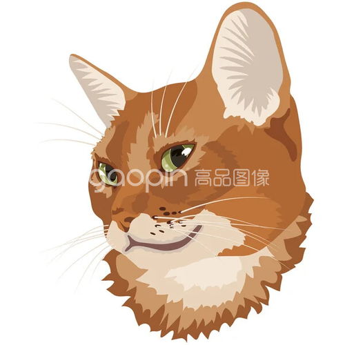 高品图像,动物头像,猫动物头像
