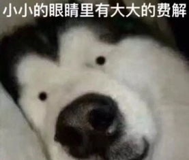 恋爱搞笑表情包想住进你的心房,炸了你的鱼塘