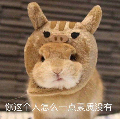 沙雕表情包l别丢人了