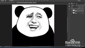 用ps做搞笑的表情包