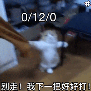 表情包真的暴怒了