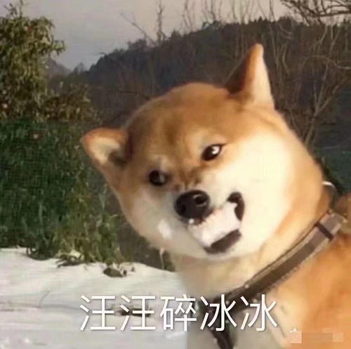 我要开个帖自己玩