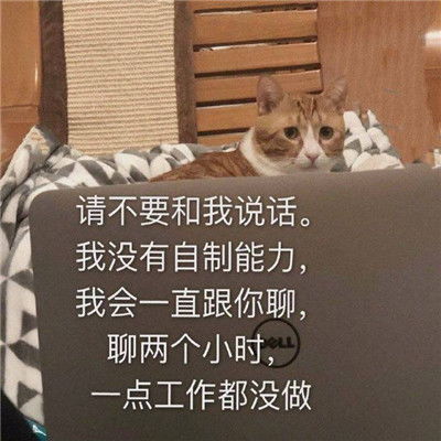 超级萌超级可爱的表情最新版喝杯热水一切都会好的