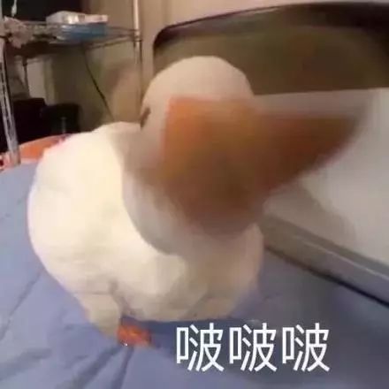 夏季最该买的8款护肤品大集合,尤其是第3款