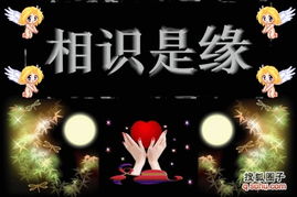 微信表情大全动态搞笑想要忘记你