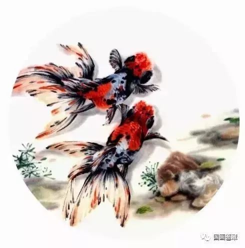 国画扇面金鱼画法图文教程,金鱼的画法技巧步骤,水草的画法