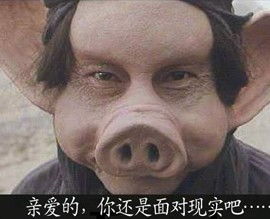 无图无真相搞笑表情包没有你