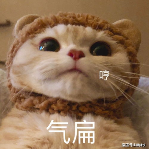 好玩表情包图片蜡笔小新动画