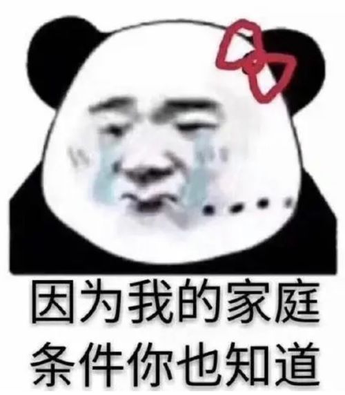 cso求职辅导加拿大留学一年30万够吗出国留学预算要多少