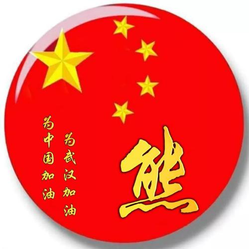 爱国姓氏头像,为中国加油为武汉加油红色充满正能量