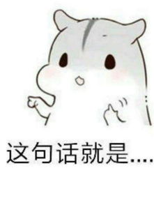 表情包你过来一下,我要跟你说句心里话
